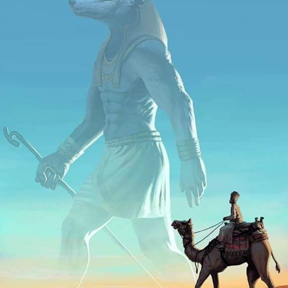 Meet your Posher, Mitchell - Picture 1 of 1